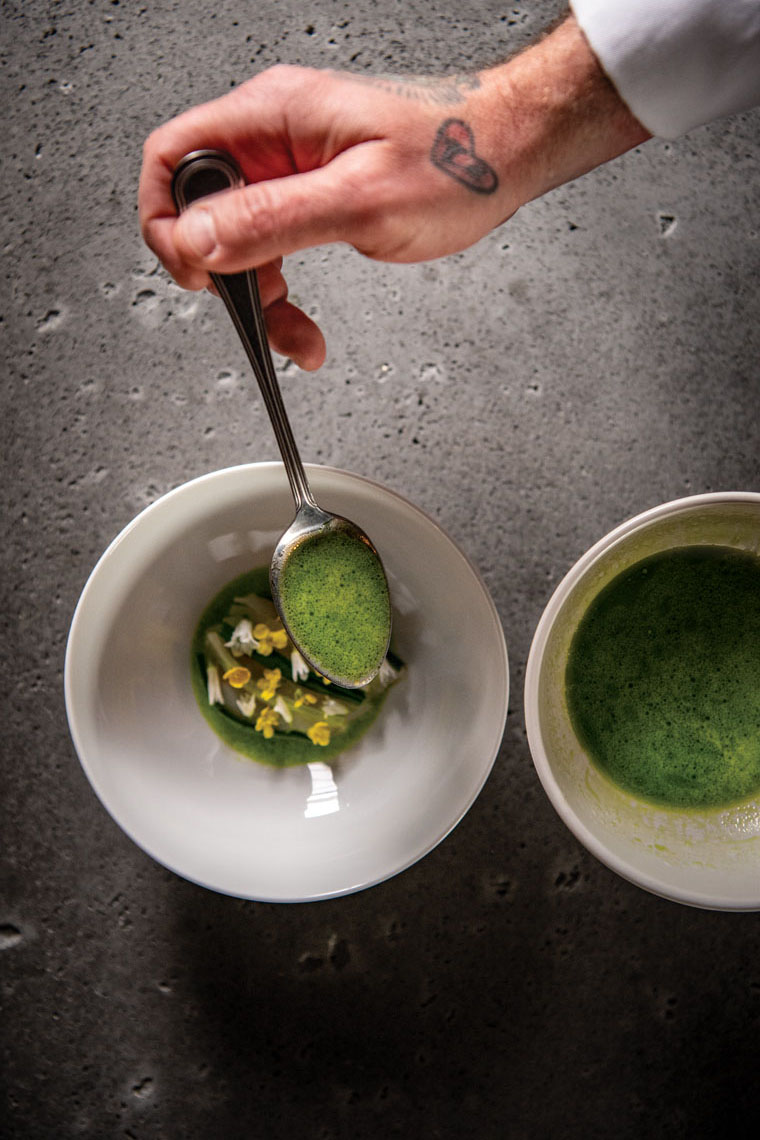 Savor 004